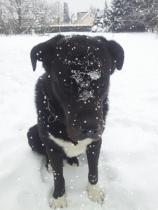 kepanje s prijatelji