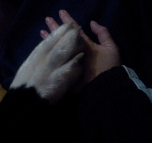 In posedanje zvečer ob topli peči - jaz in ti