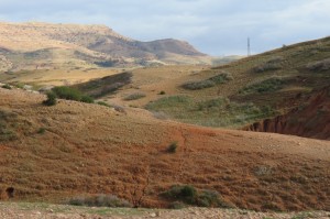 IMG_5764