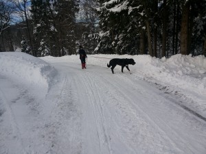 Najboljši človekov prijatelj - naš Žak  mi je del poti ponudil šapo v pomoč....